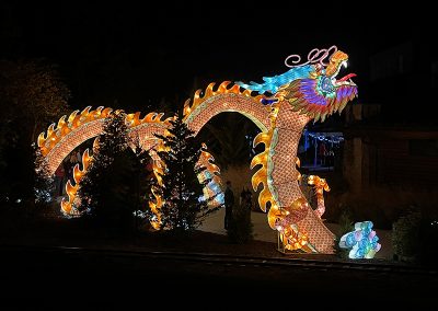 Festival Dragon